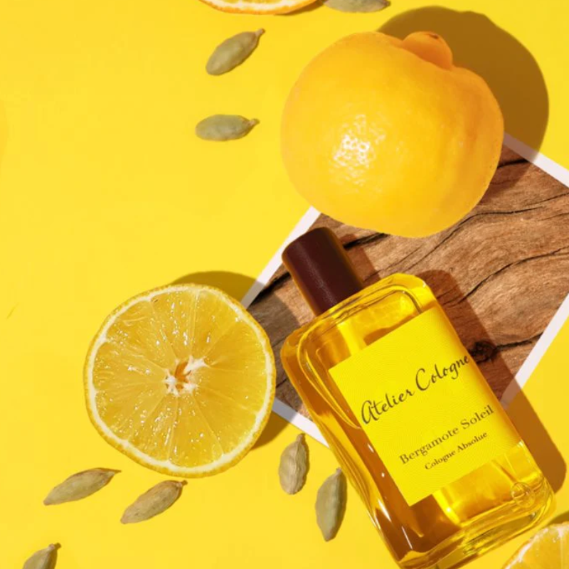 Hương đầu: Cam Bergamot, Cam đắng; Hương giữa: Hoa oải hương, Bạch đậu khấu; Hương cuối: Rêu sồi, Hổ phách trắng.